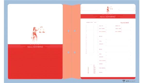 Avukat Büro Dosyası AD618